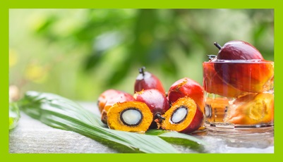 Sustainably sourced oil palm fruit